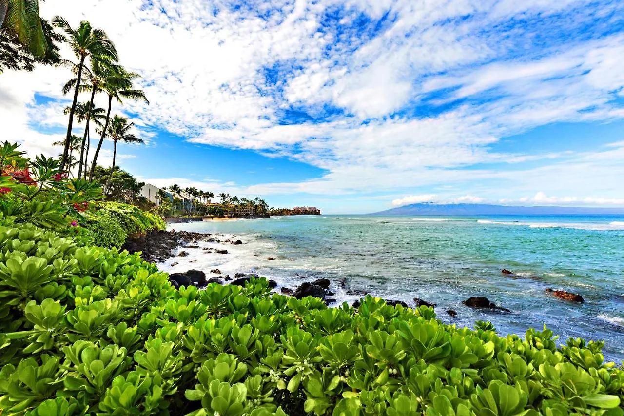 Kuleana Resort 313 Kahana 0*,  미국